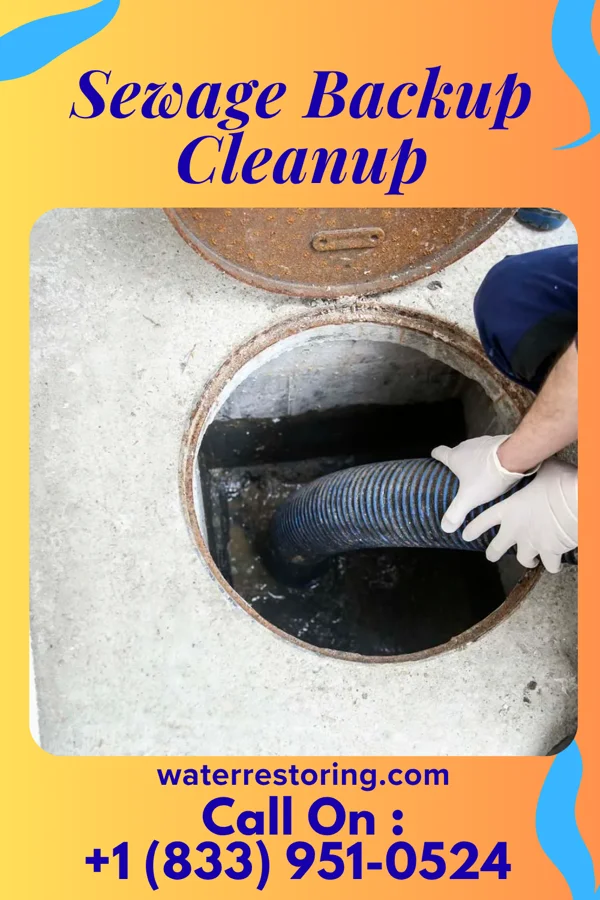 Sewage Backup Cleanup in Whitefield, OK